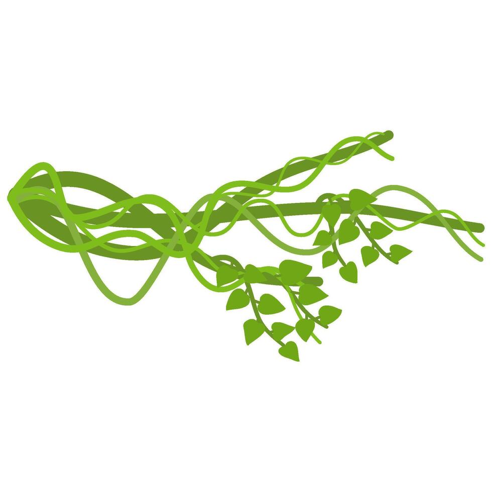 Lianas branch with vines vector