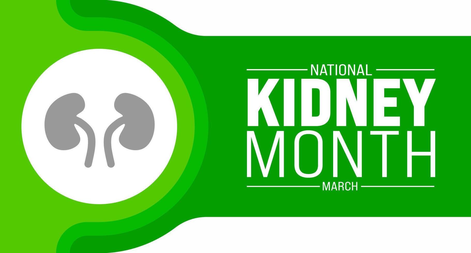 March is national  Kidney Month background template. Holiday concept. use to background, banner, placard, card, and poster design template with text inscription and standard color. vector illustration