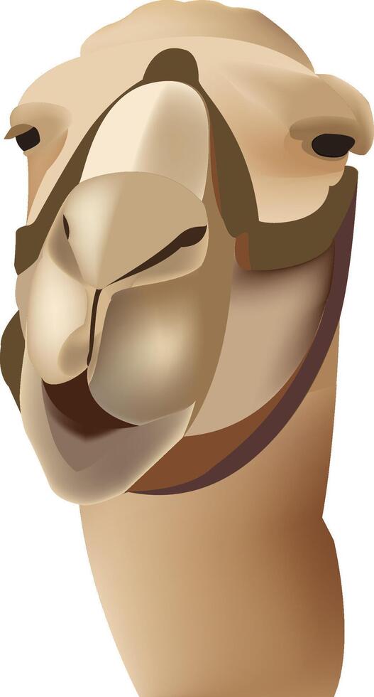 close-up camel face vector