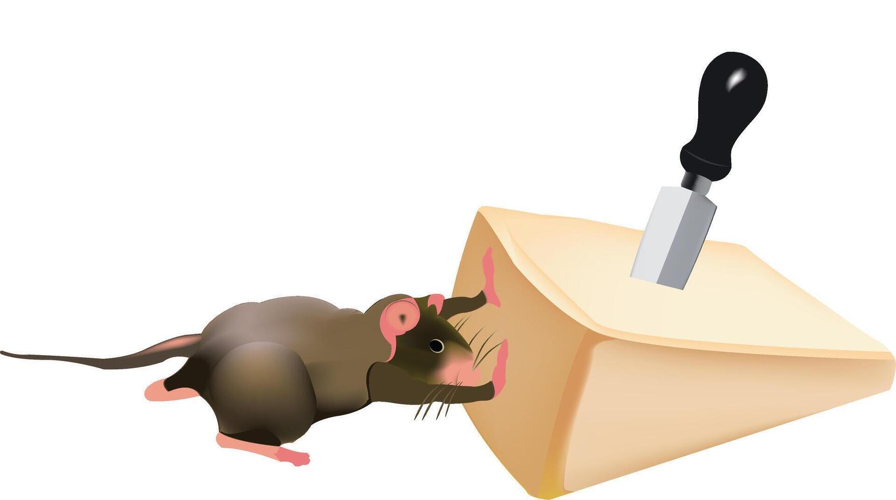 Cartoon mouse nibbling on cheese with knife vector