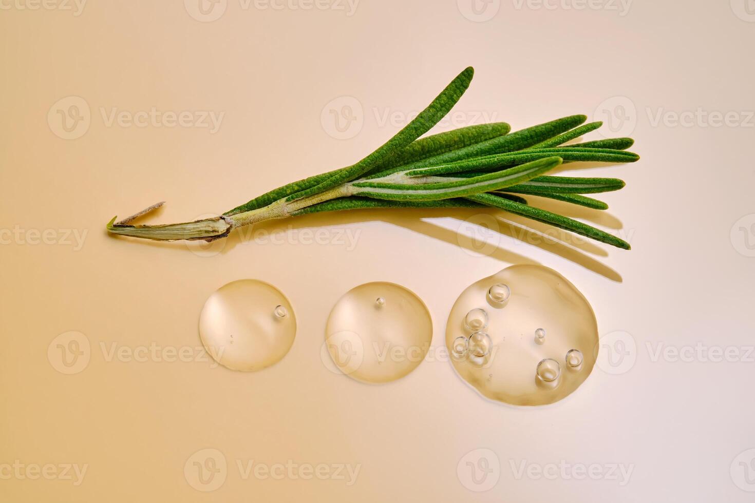 Drops of serum and a branch of fresh rosemary on a beige nude background. photo