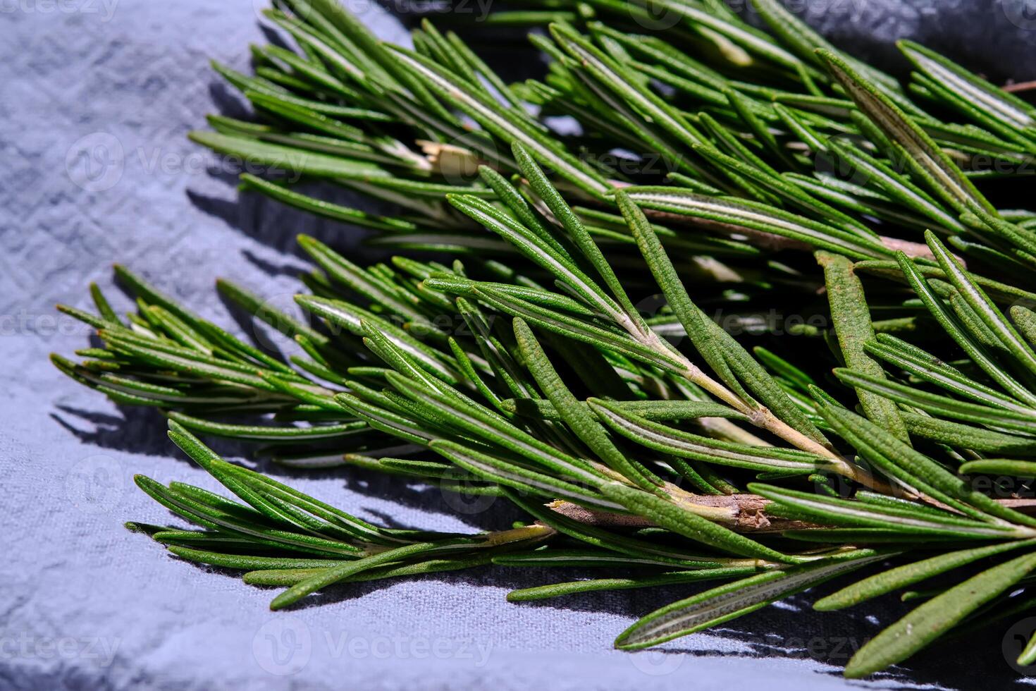 Fresh rosemary on a background of blue fabric. photo