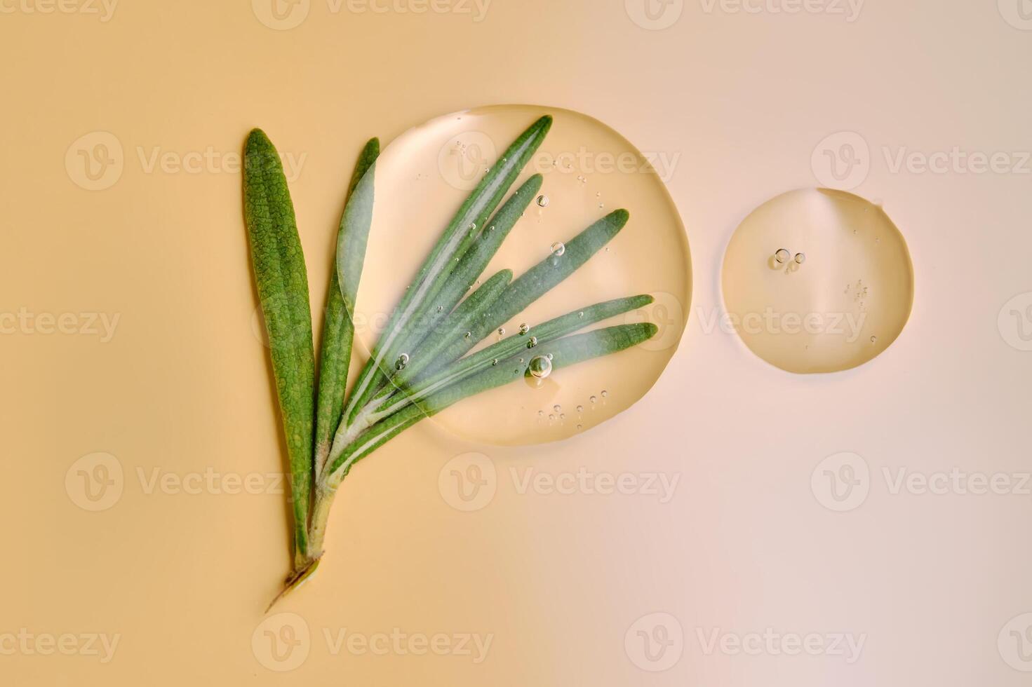 Drops of serum and a branch of fresh rosemary on a beige nude background. photo