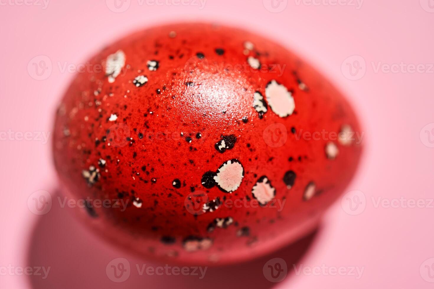 Easter red quail egg close-up. Texture. photo
