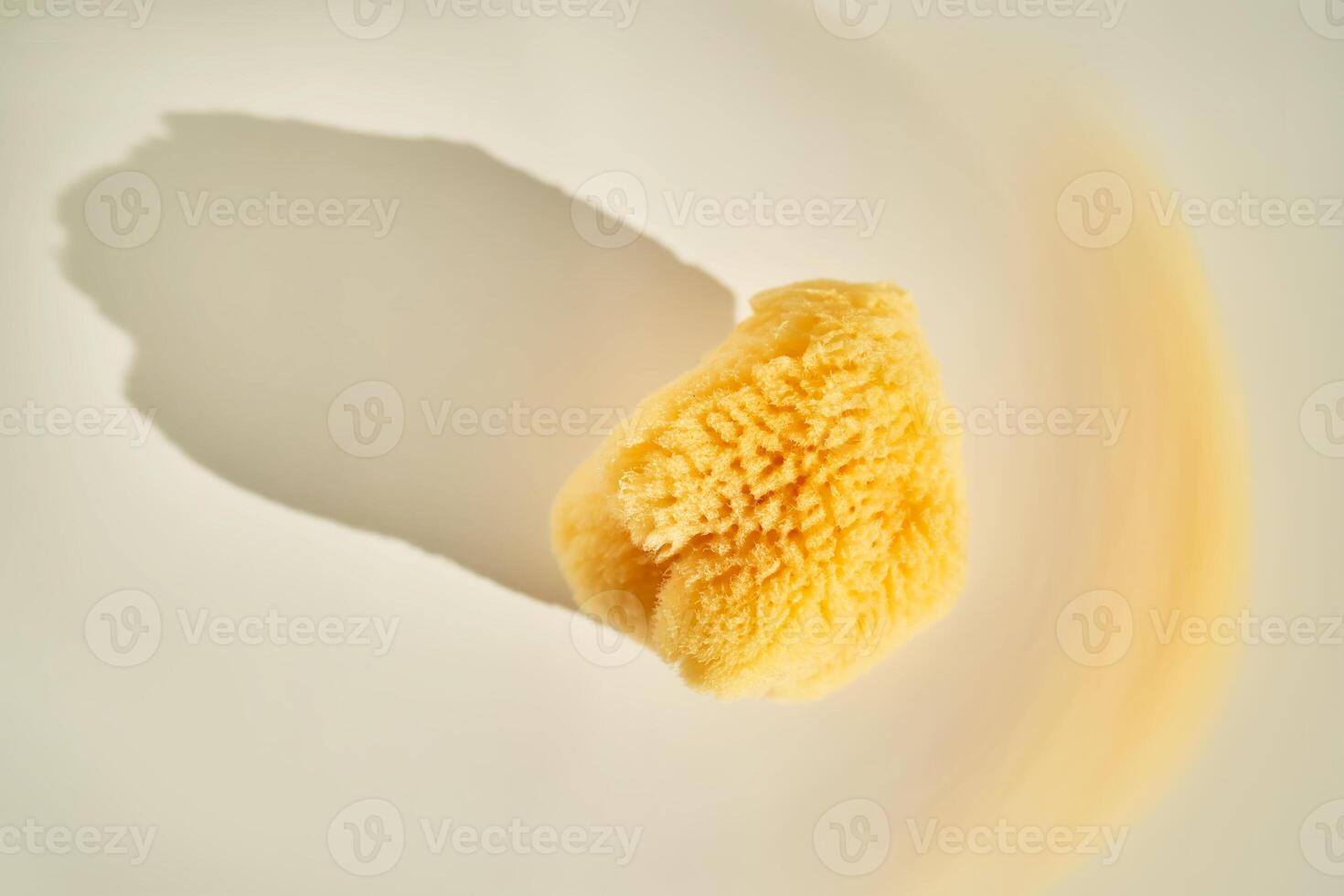 Natural sea sponge for face and body in the sun. photo