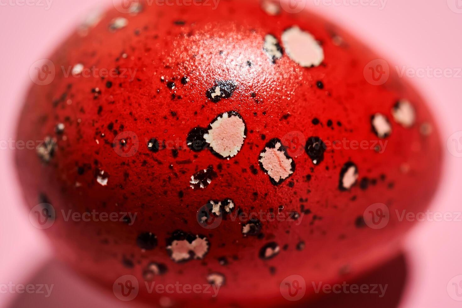 Easter red quail egg close-up. Texture. photo