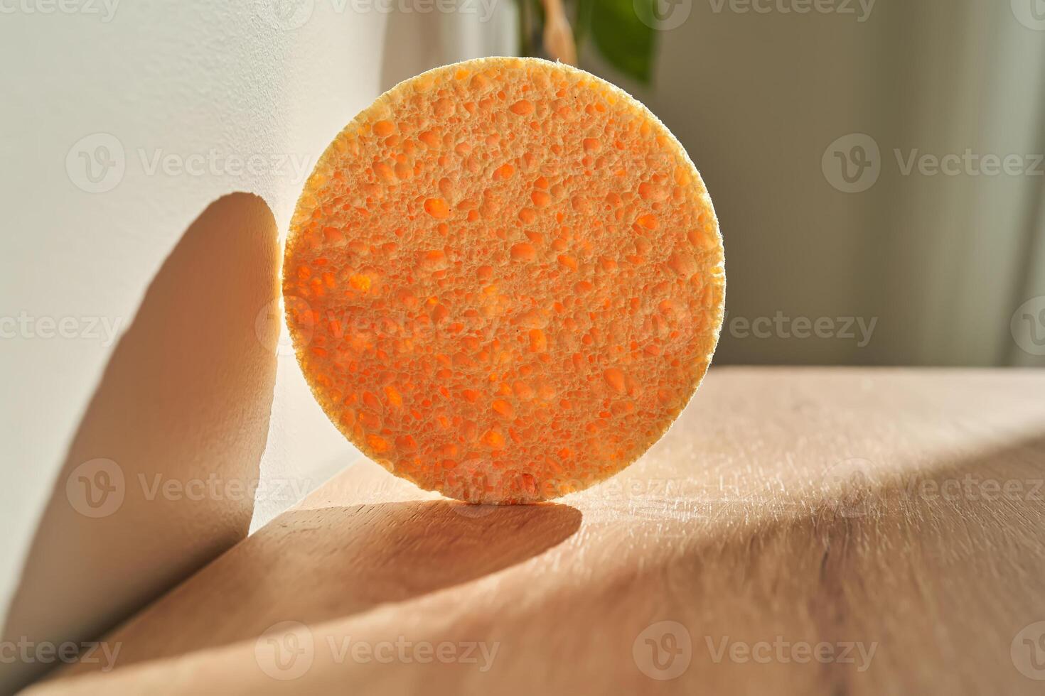 Round sponge made of natural sponge. photo