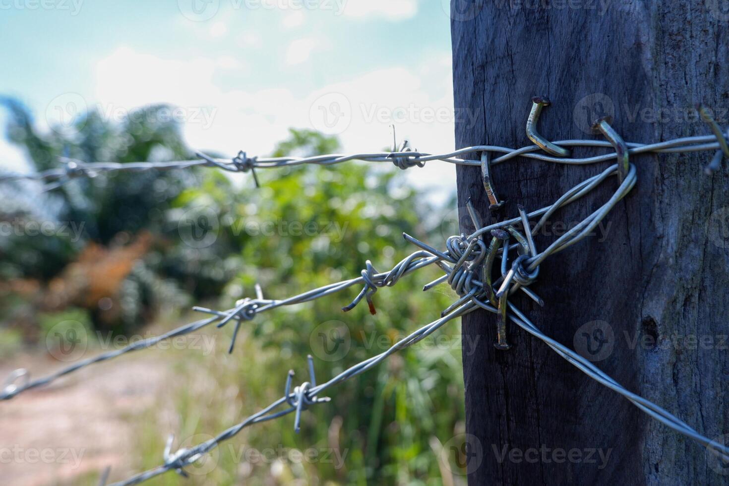 selective focus on an old and rusty barbed wire fence photo