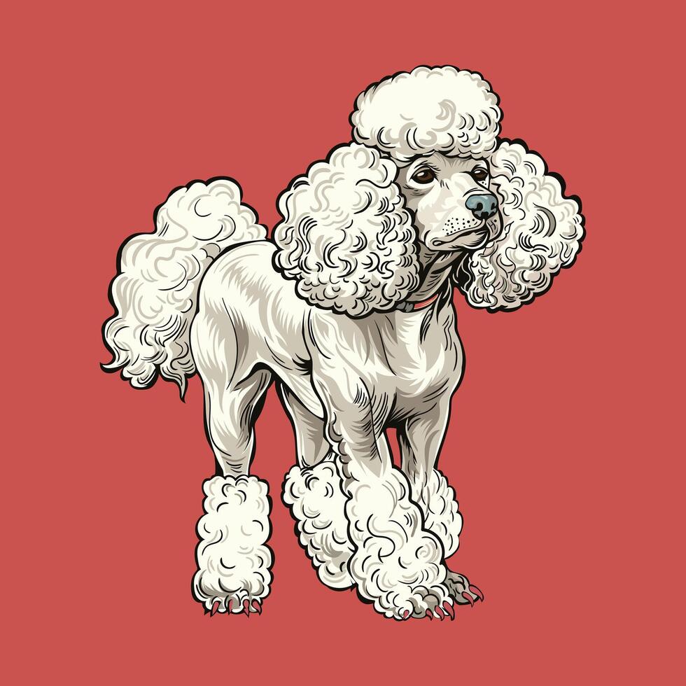 Poodle Dog Stock Vector