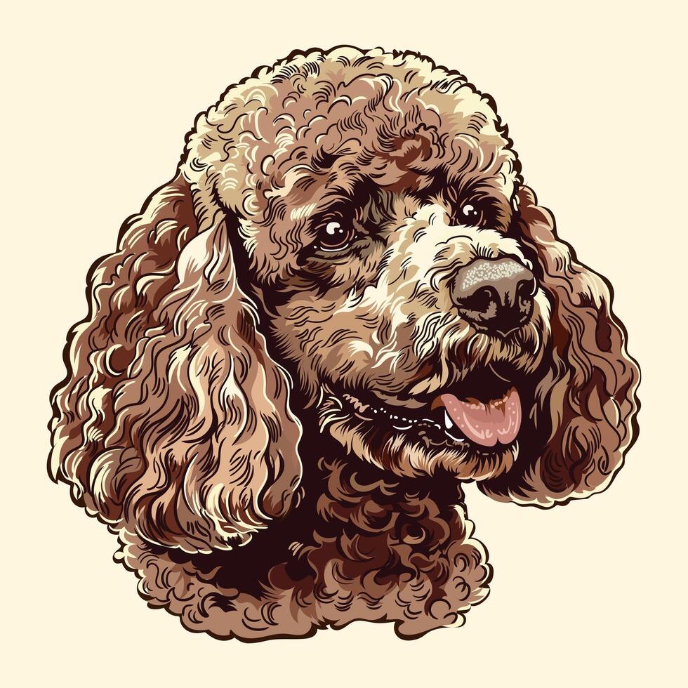 caniche perro ilustración valores vector