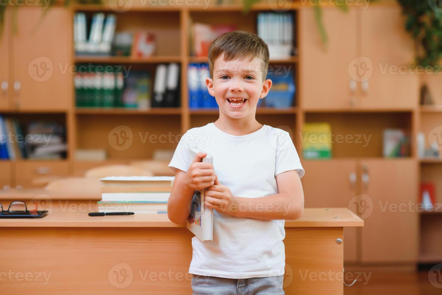 Boy in the school classroom. The concept of schooling photo