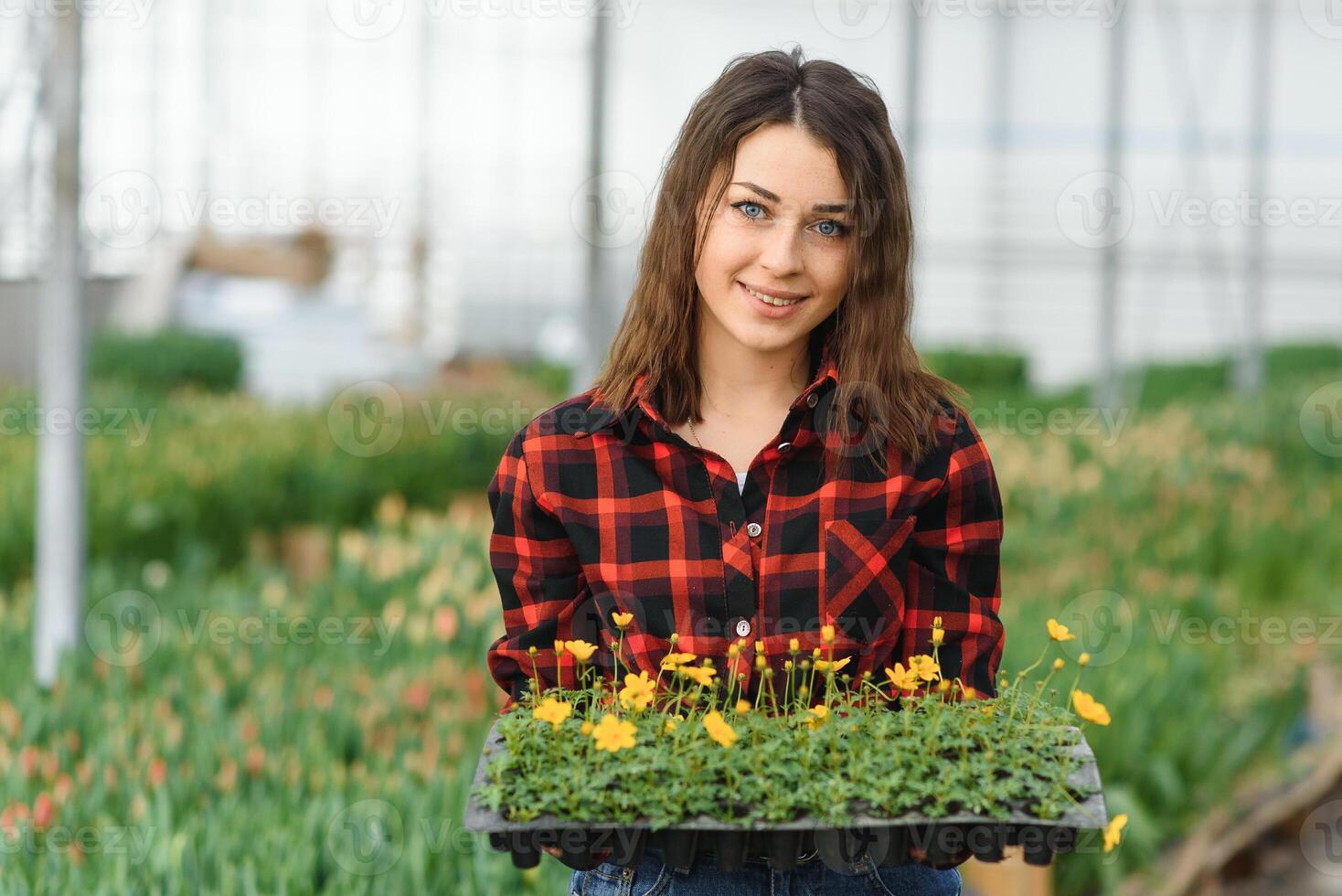 Beautiful young smiling girl, worker with flowers in greenhouse. Concept work in the greenhouse, flowers. photo
