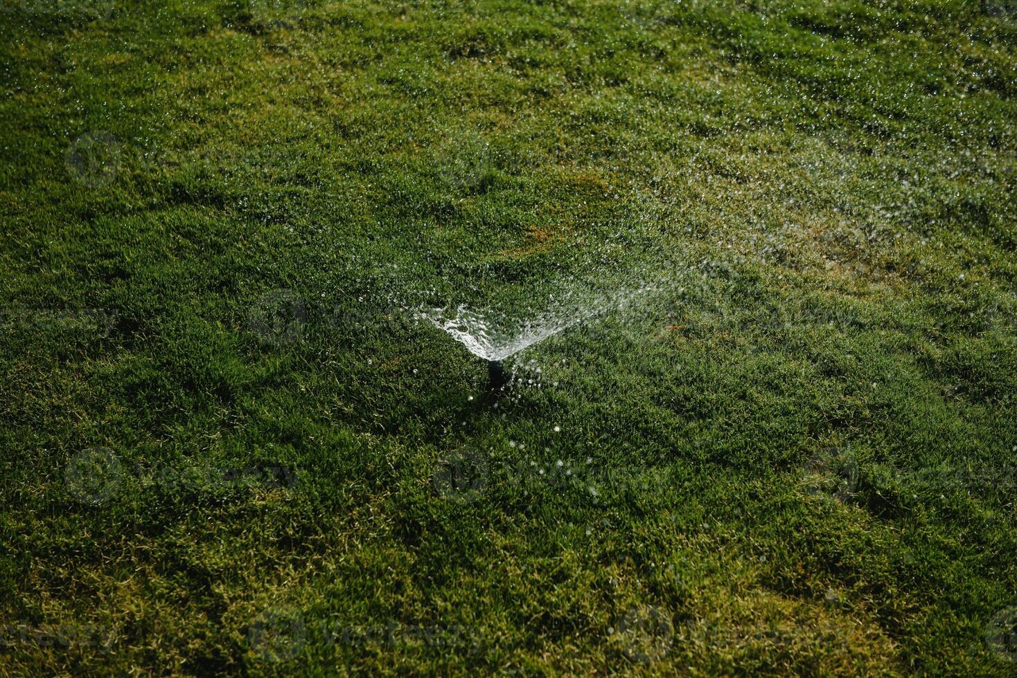 Modern device of irrigation garden. Irrigation system - technique of watering in the garden. Lawn sprinkler spraying water over green grass. photo