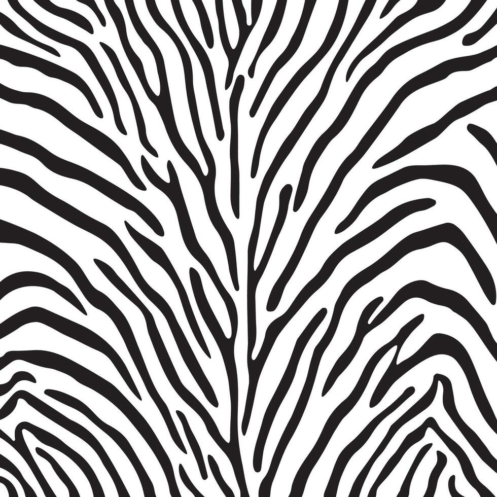 A background with zebra stripes. A picture with stylish bold curved lines. Black and white wallpaper. Vector illustration.