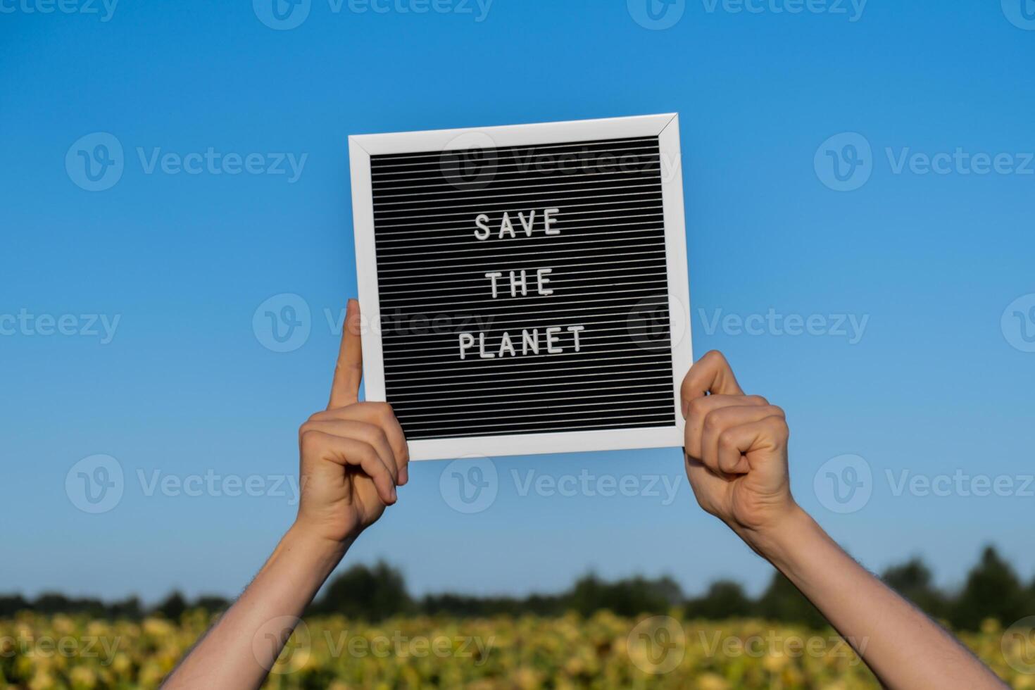 Hands of protester with text SAVE THE PLANET on black board on background of sunflower field. Reuse reduce recycle concept. Protesting for nature Climate strike volunteer protest against earth pollution, global warming photo