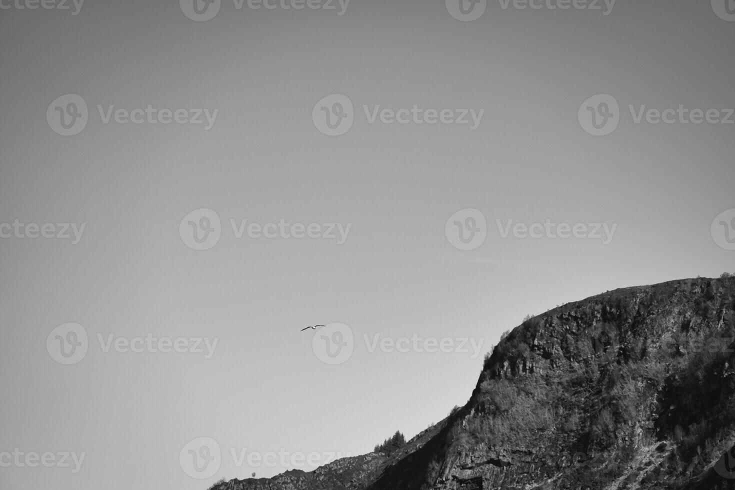 Westcap in Norway. Mountain that reaches into the fjord. Landscape Scandinavia photo