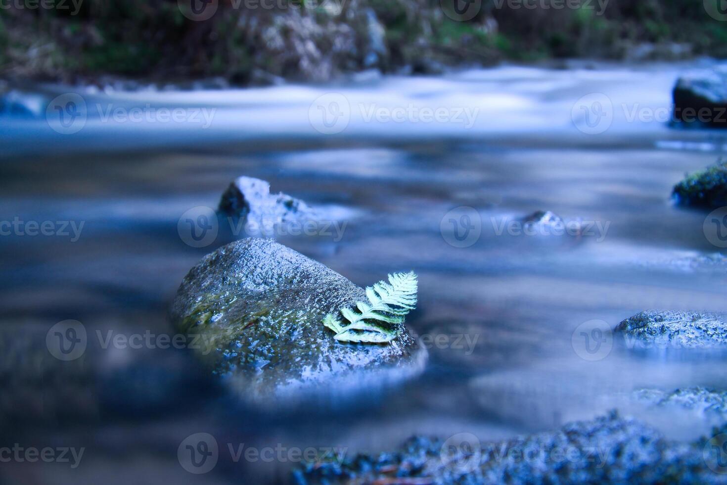 Long exposure of a river, stones with fern leaf in the foreground. Forest background photo