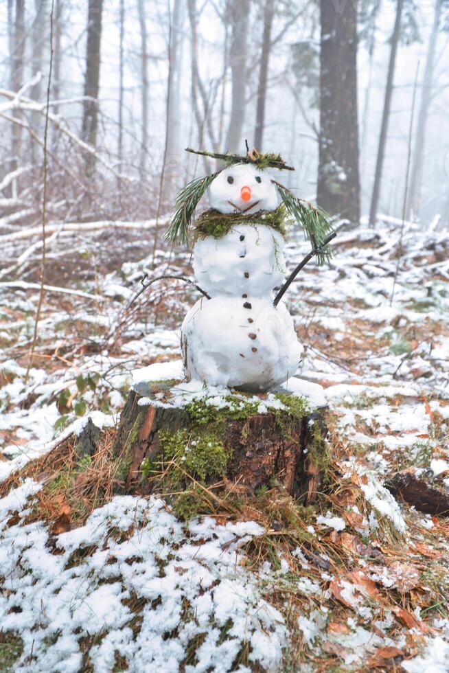 Snowman on a tree stump with carrot, buttons, branches, pine needles as hair photo