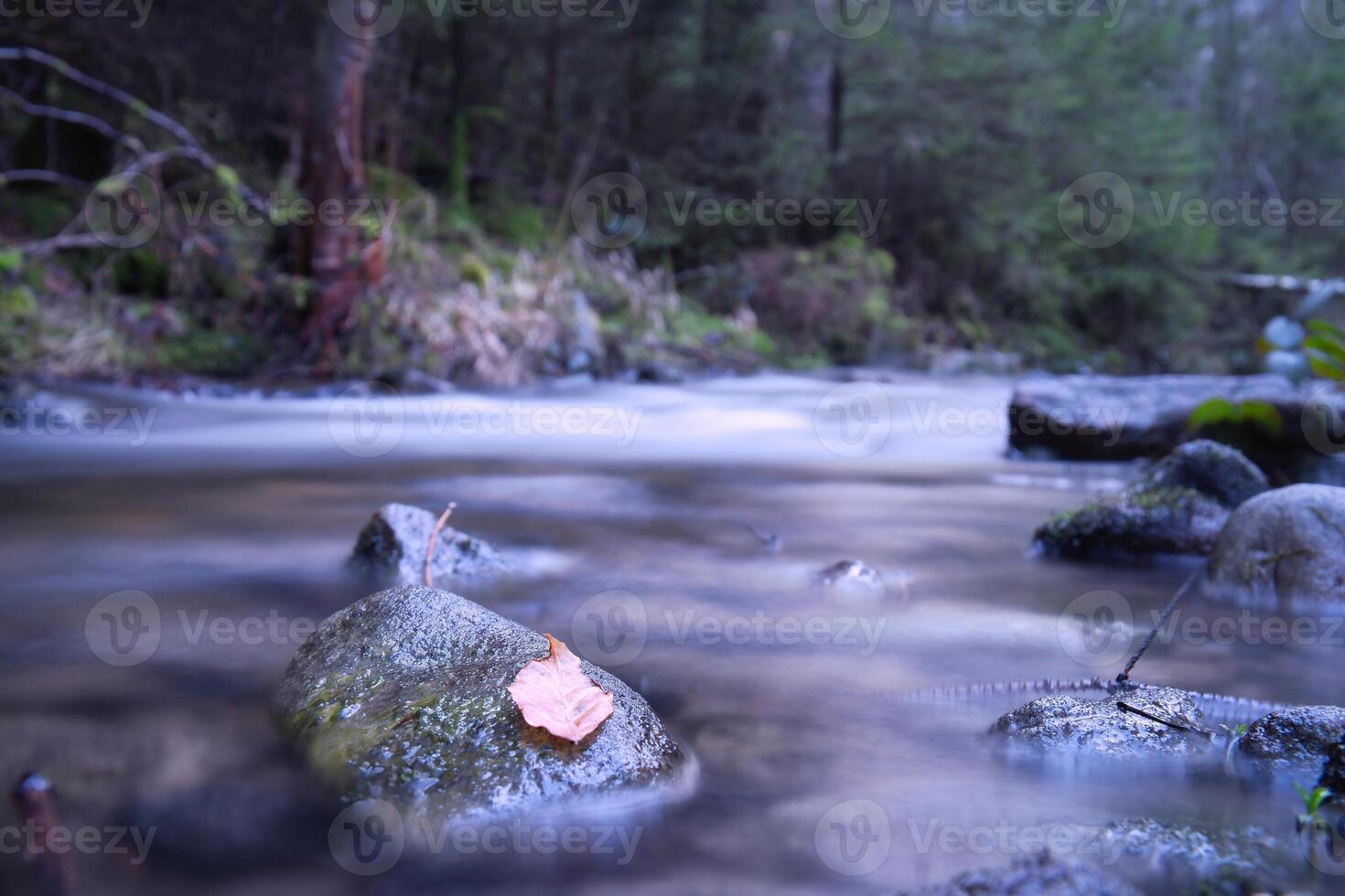 Long exposure shot of a river, stone in the foreground with a leaf. Forest background photo