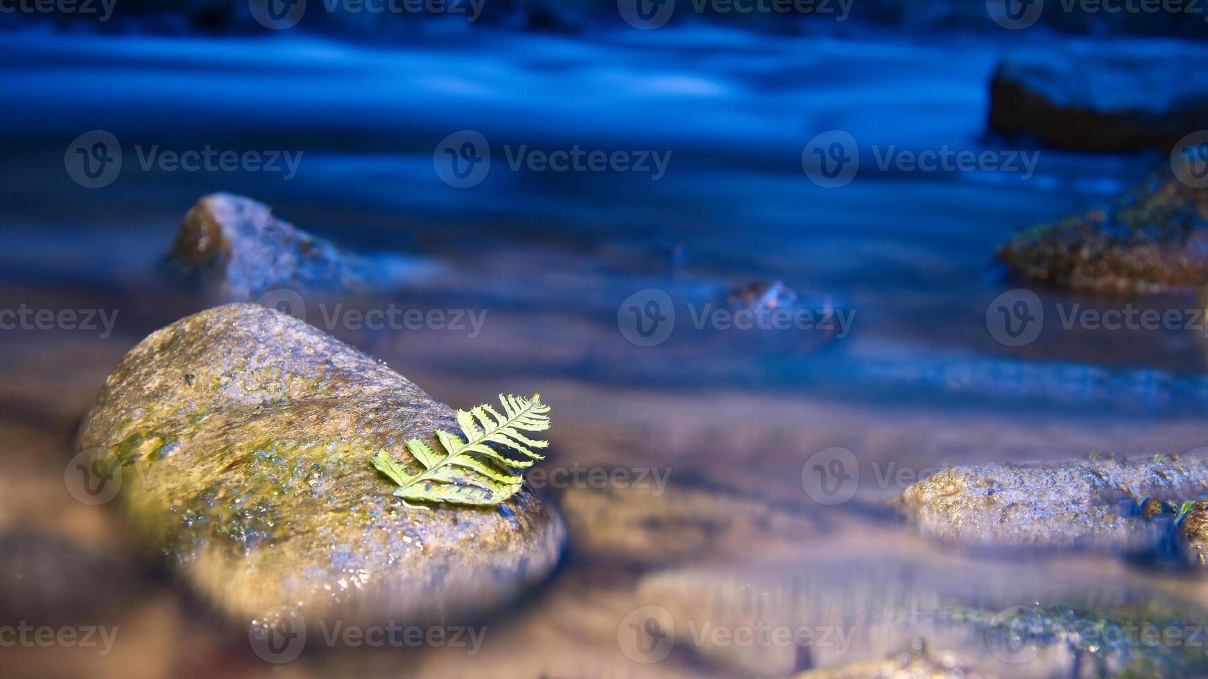 Long exposure of a river, stones with fern leaf in the foreground. Forest background photo