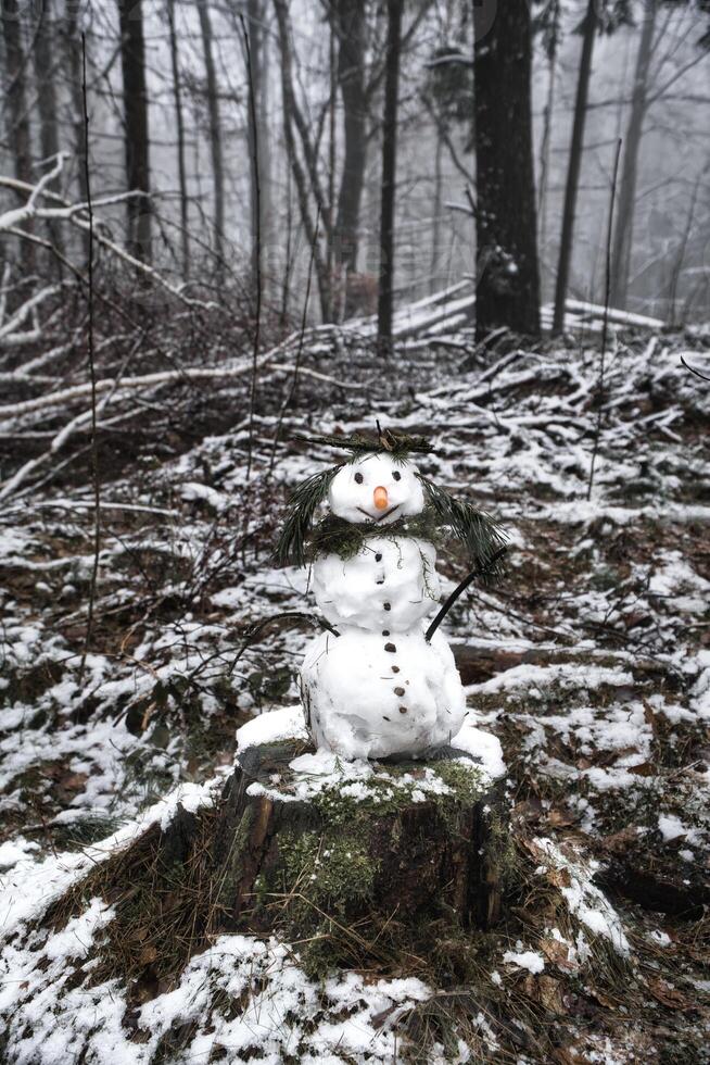 Snowman on a tree stump with carrot, buttons, branches, pine needles as hair photo