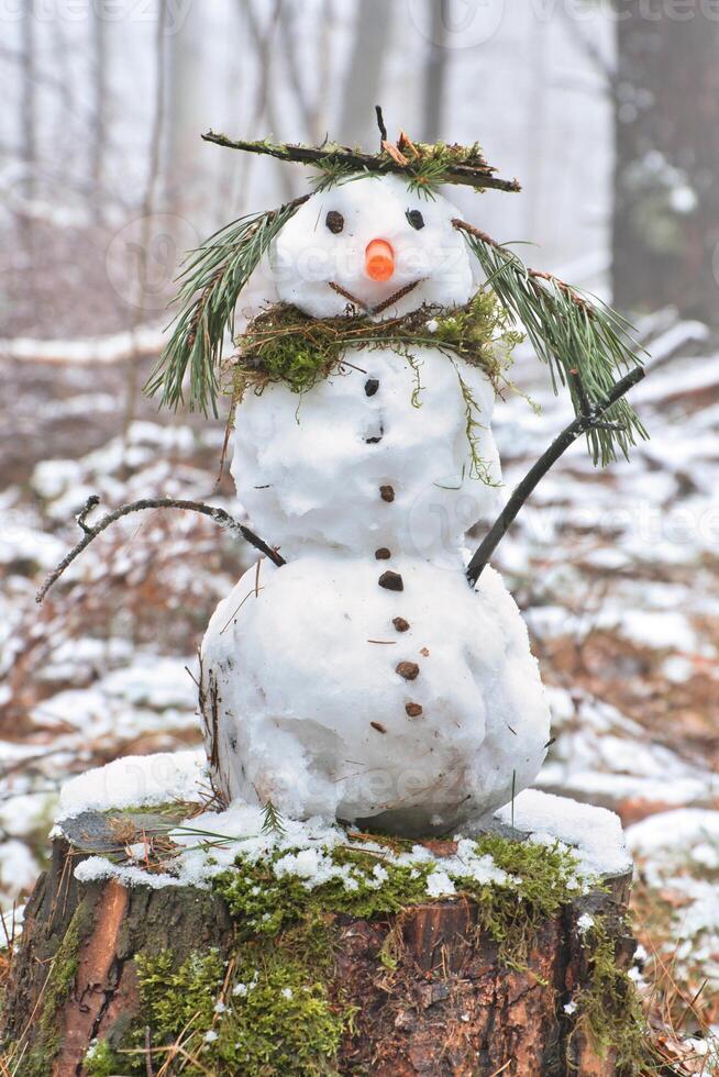 Snowman on a tree stump with carrot, buttons, branches, pine needles as hair photo