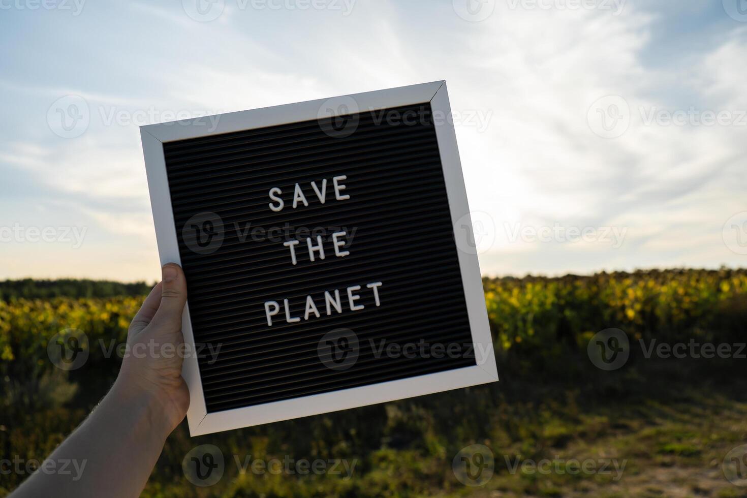 irreconocible persona con bandera mensaje salvar el planeta en girasol campo en soleado día. firmar tierra día. concepto de ecología y eco activismo ambiental cuestiones detener global calentamiento Vamos verde sostenible foto