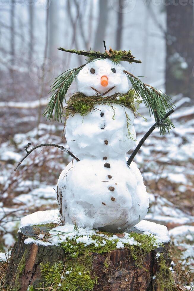 Snowman on a tree stump with carrot, buttons, branches, pine needles as hair photo