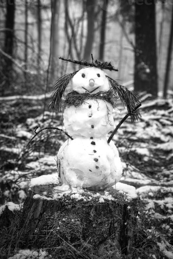 Snowman on a tree stump with carrot, buttons, branches, pine needles as hair photo