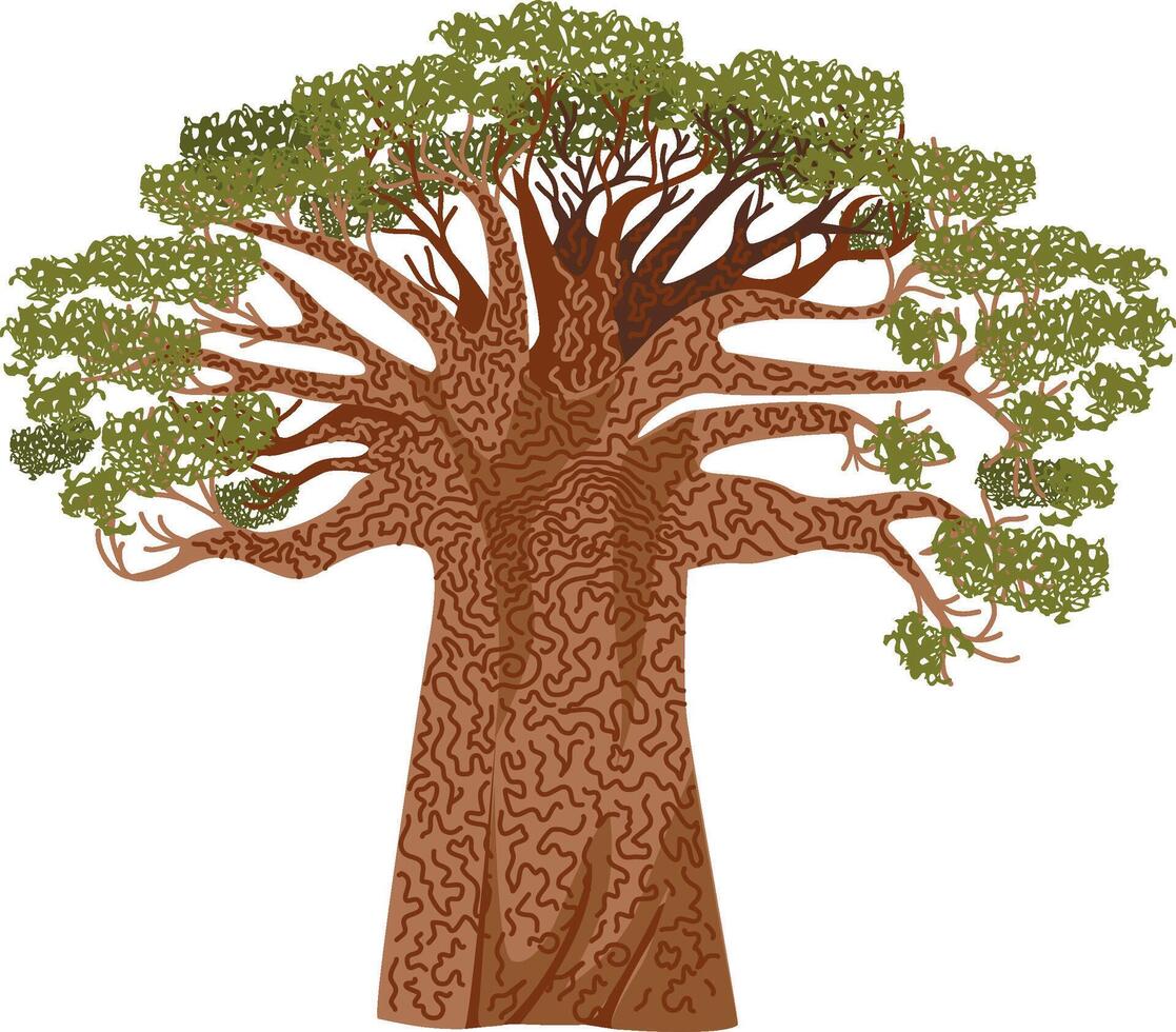 Baobab hand drawn tree with pattern on the pillar, vector colorful illustration. Monkey bread tree color sketch