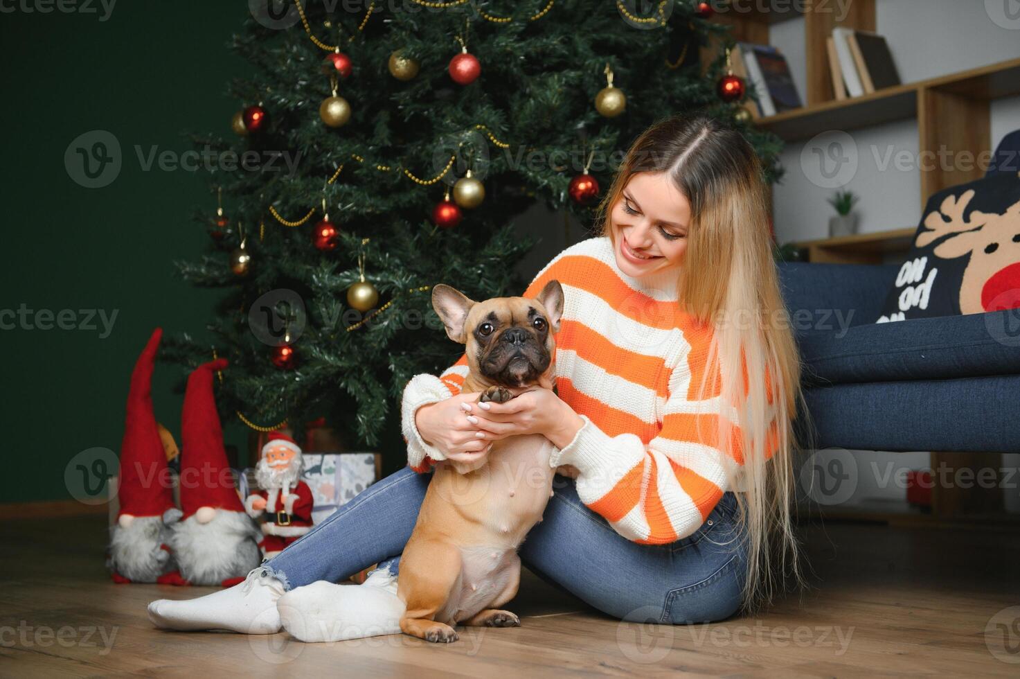 Little dog with owner playing and having fun. young teen girl sitting on the couch with her pet. Christmas tree in the background. soft selective focus photo