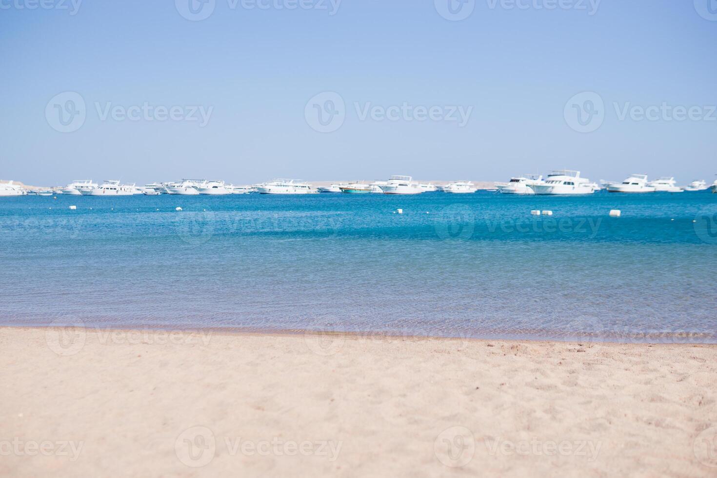 playa relajación a el rojo mar. cuento de hadas momentos de un soleado día. el concepto de turismo y mar viaje foto