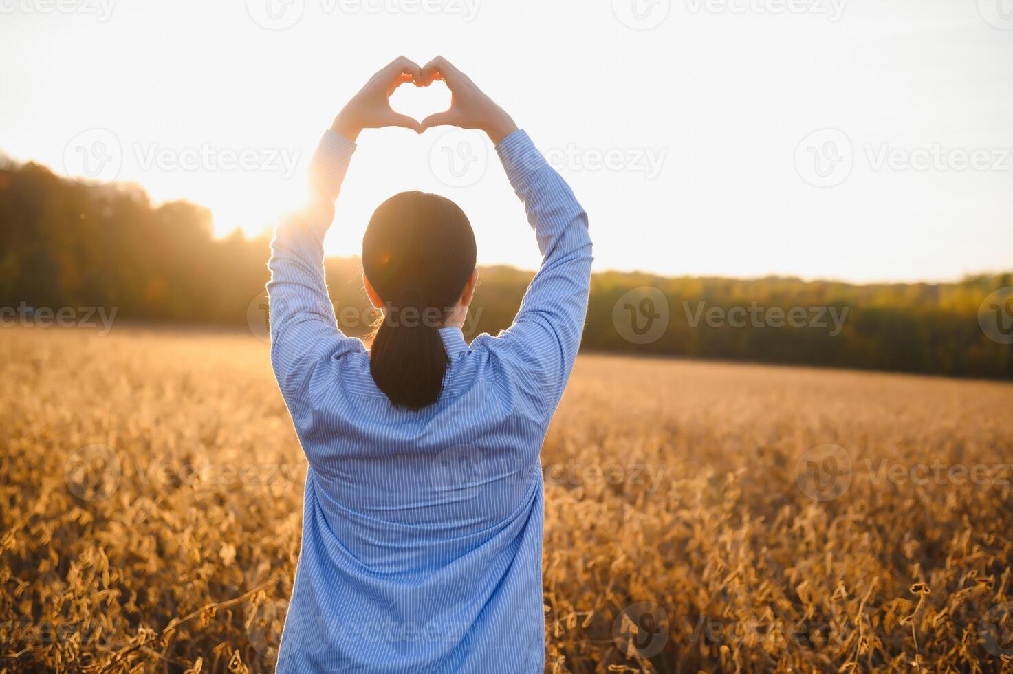 A young female farmer is working in a soybean field at sunset. photo