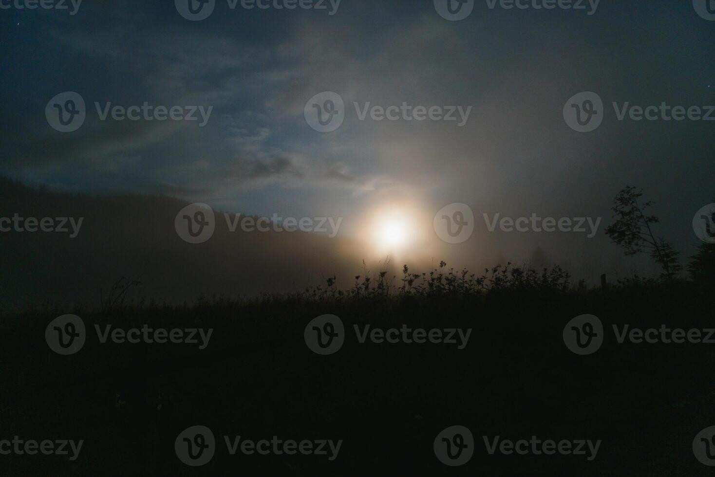 mountain landscape pine trees near valley and colorful forest on hillside under blue sky with clouds and fog in moon light at night photo