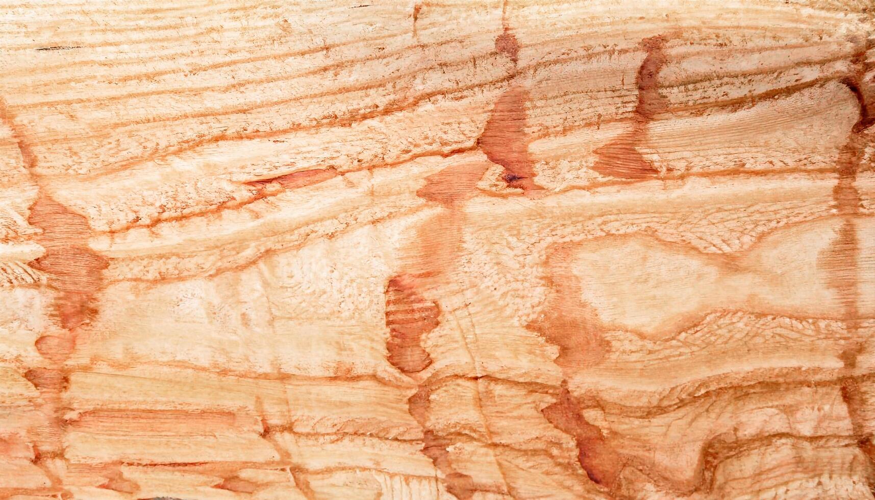 The macro photo of sycamore board surface with wood texture