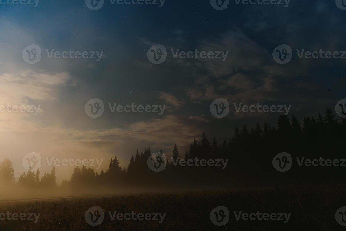 Forest against the background of the starry sky in the Carpathian mountains photo