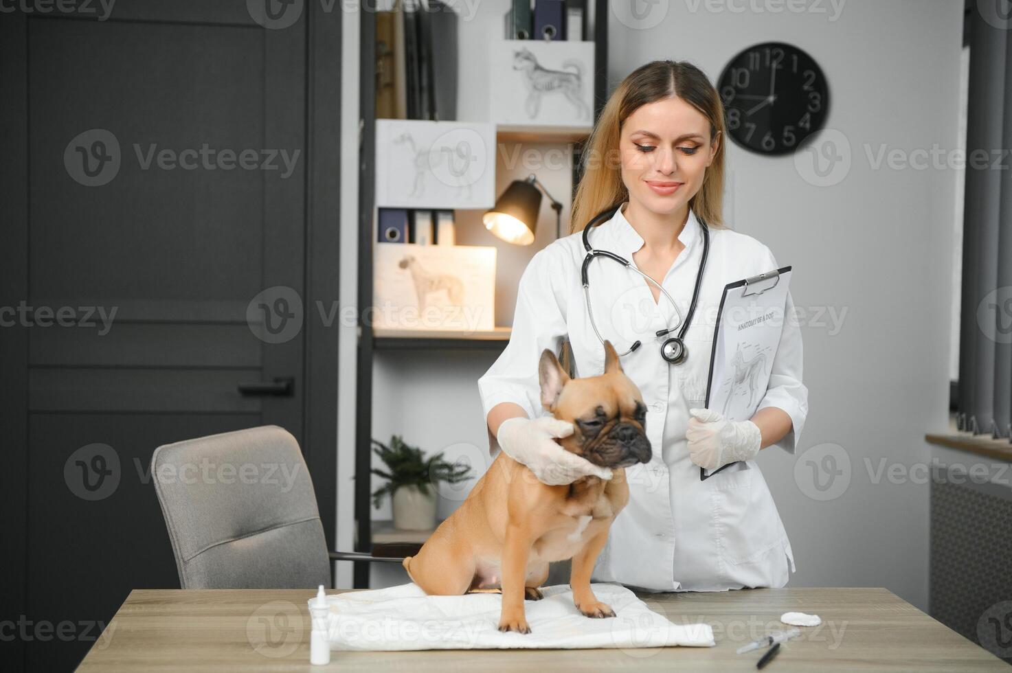 contento veterinario médico con un perro a veterinario clínica. foto