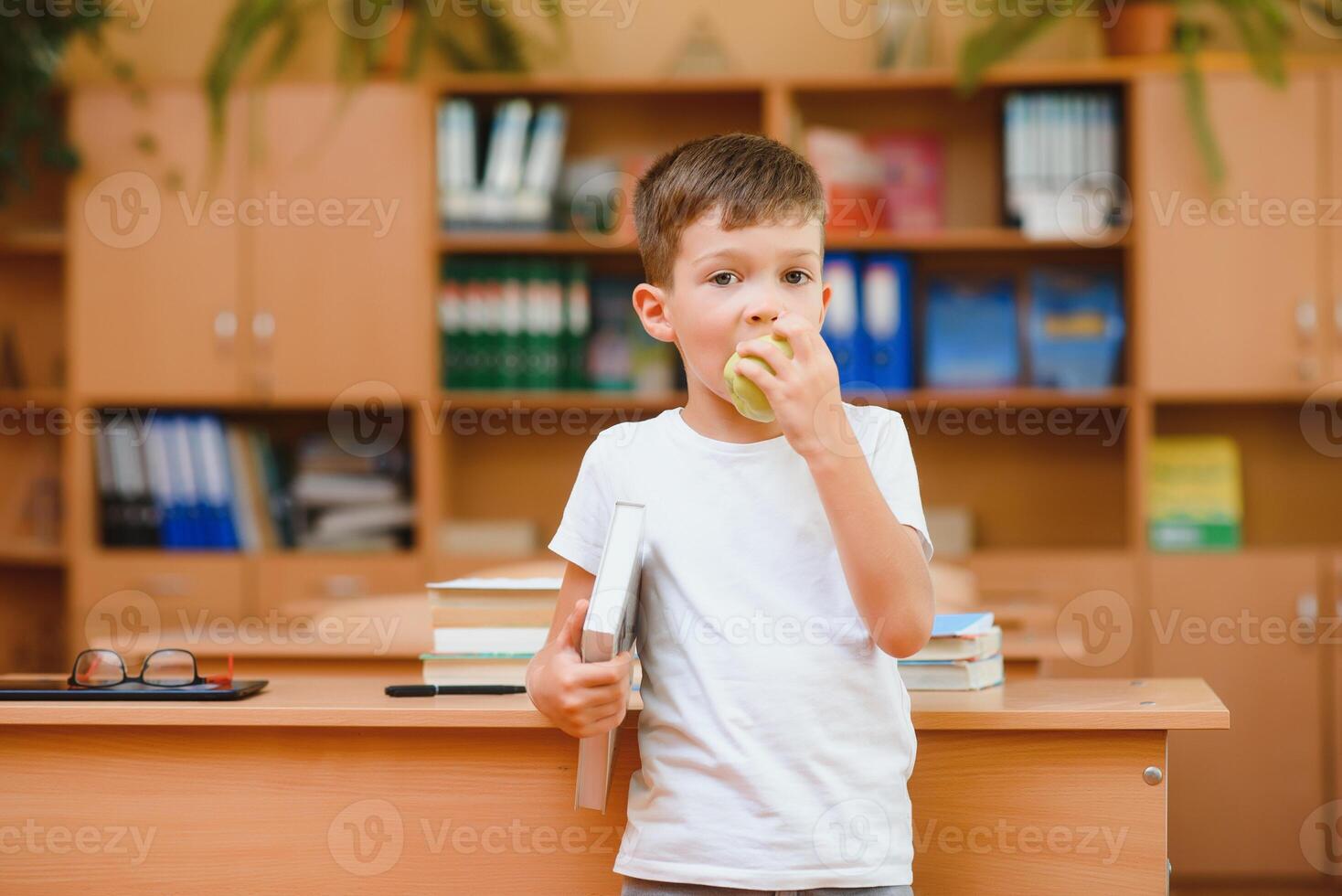 Elementary schoolboy using digital tablet with classmate studying in background at classroom photo