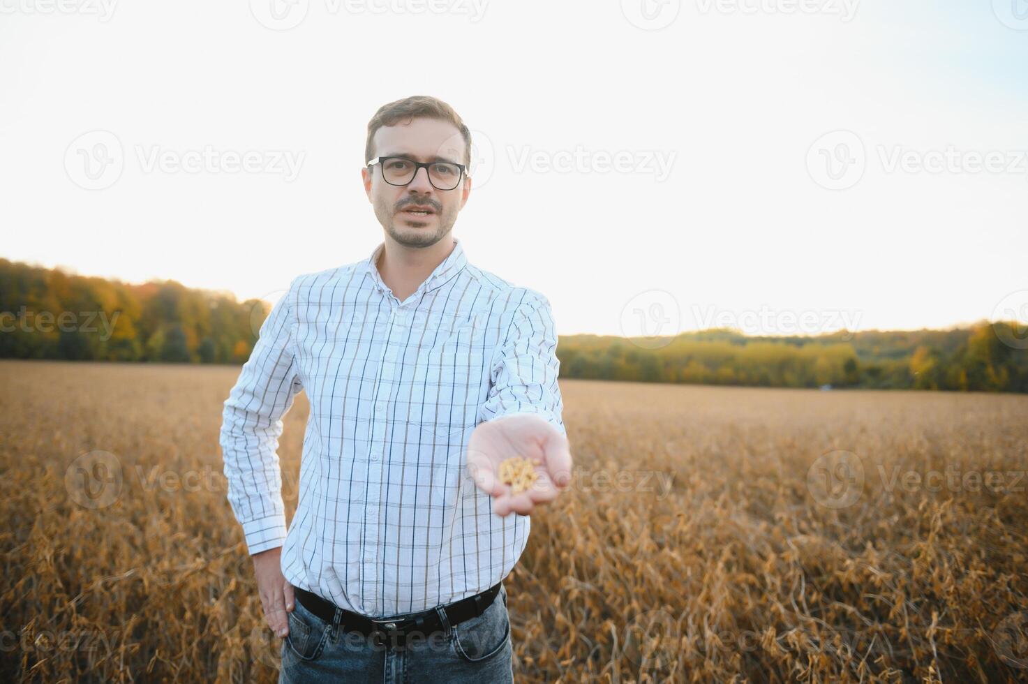 agronomist or farmer examining crop of soybeans field photo