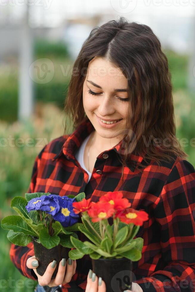 Beautiful young smiling girl, worker with flowers in greenhouse. Concept work in the greenhouse, flowers, tulips, box with flowers. Copy space. photo