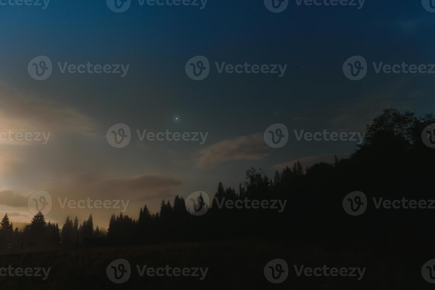 Forest against the background of the starry sky in the Carpathian mountains photo