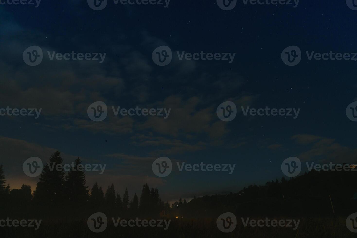 Forest against the background of the starry sky in the Carpathian mountains photo