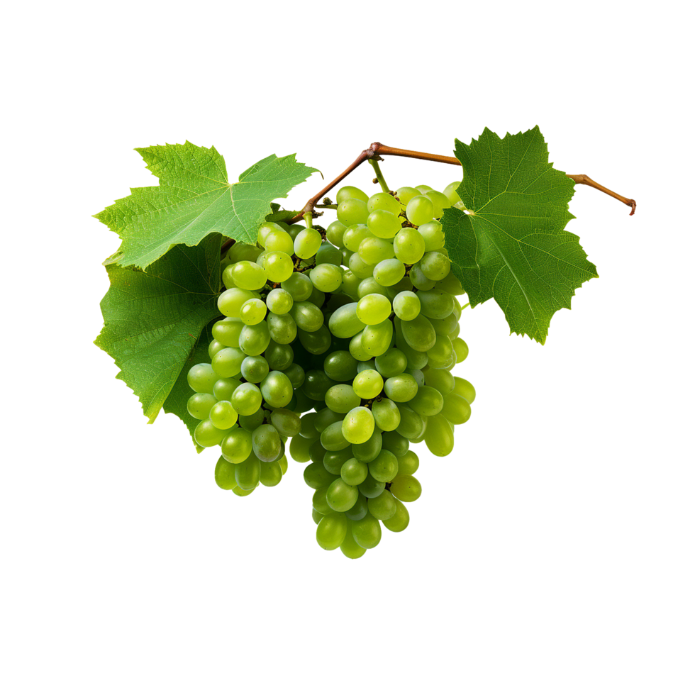 AI generated A bunch of green grape with leaves png isolated on transparent background