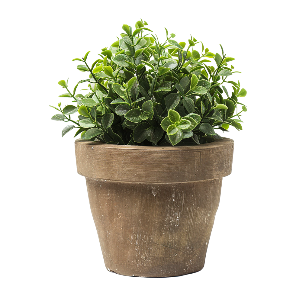 AI generated Plant pot flower isolated on transparent background png