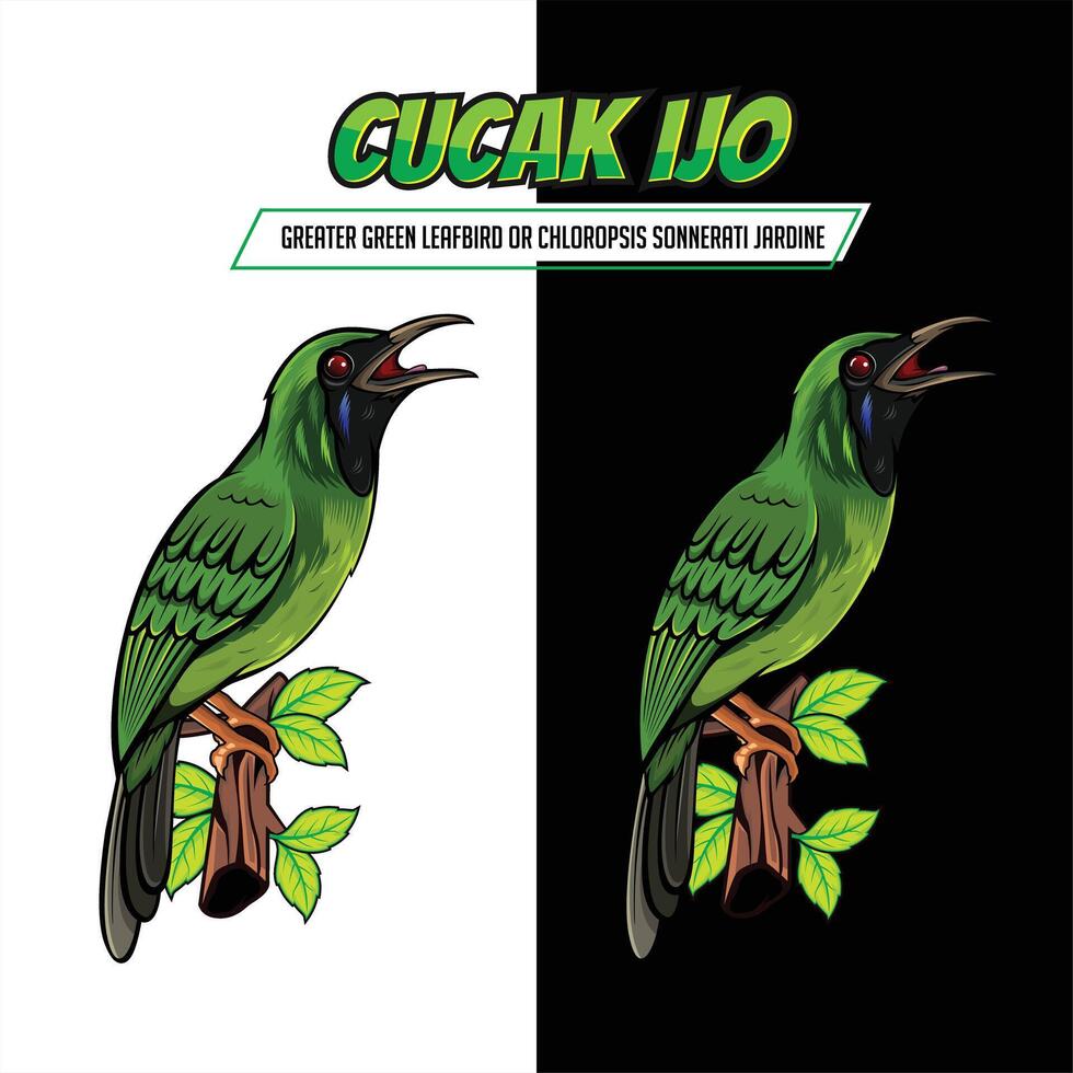vector cucak hijau pájaro o mayor verde pájaro hoja para ilustración y equipo logo mascota