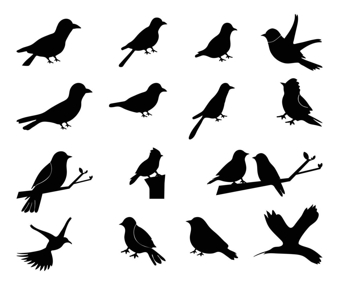 vector pájaro silueta colección