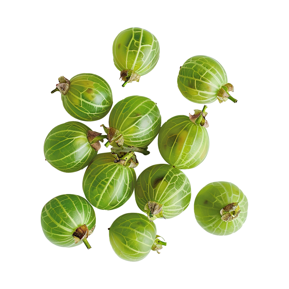 AI generated Green gooseberries isolated on transparent background png