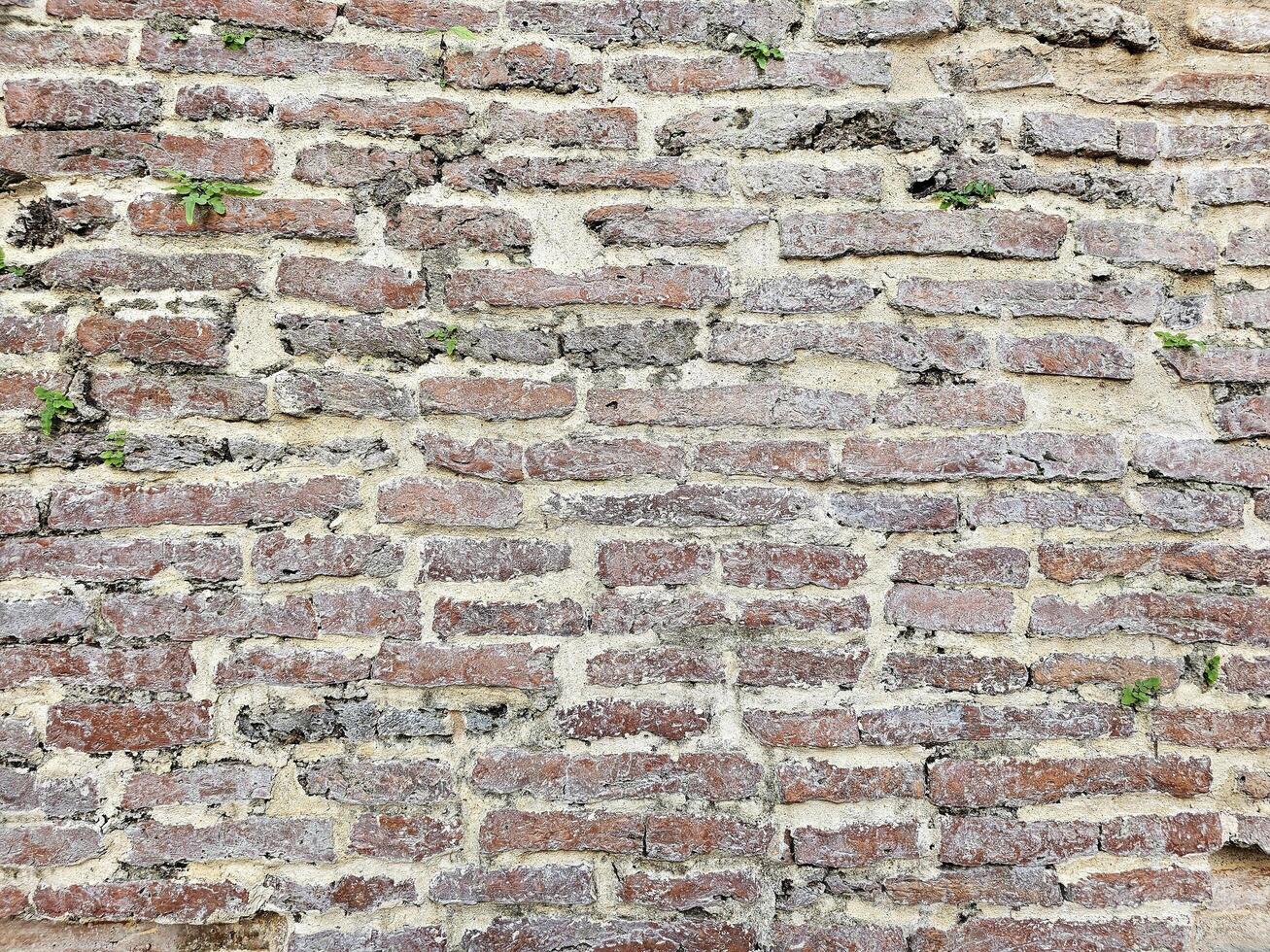 Old brick wall texture for background. photo