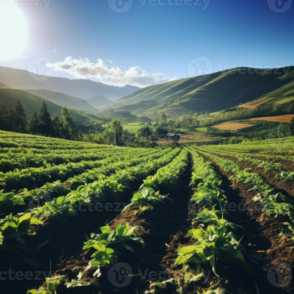 AI generated An open green field showcasing the importance of ethical practices to prevent the climate change photo