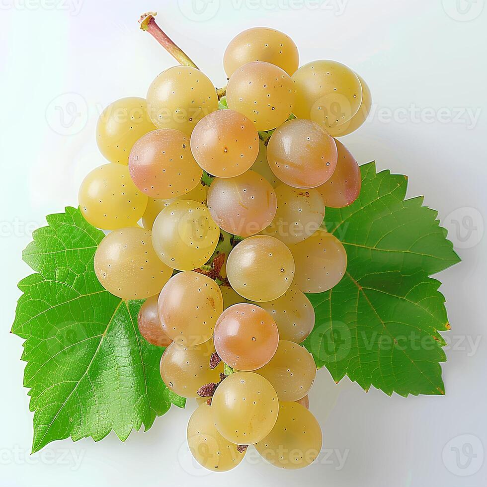 AI generated White grapes isolated on white background with shadow. Centennial grapes isolated. Table grape of Centennial for food purposes photo